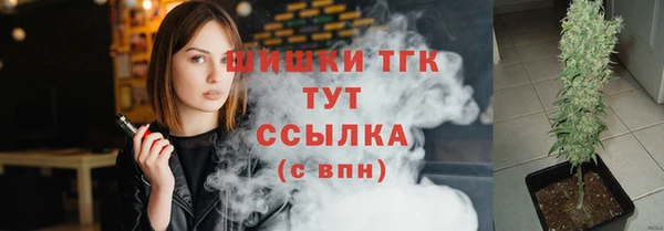 spice Дмитриев