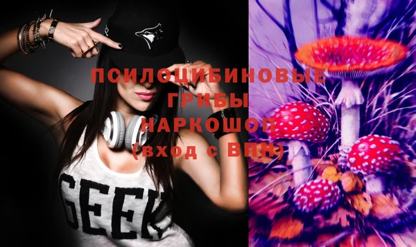бошки Дмитровск
