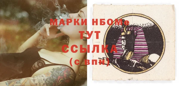 spice Дмитриев