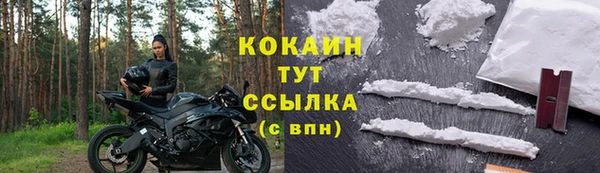 мяу мяу мука Гусев