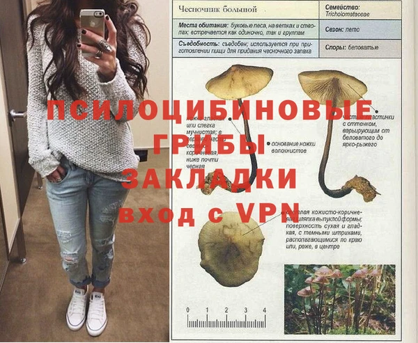 MESCALINE Дмитров