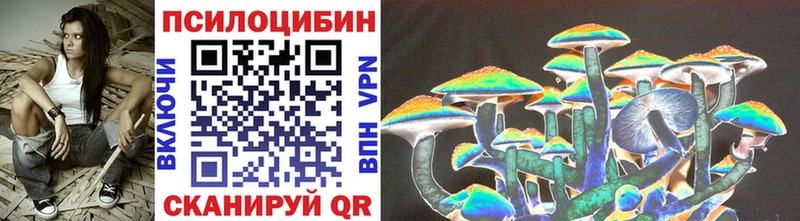 дарнет шоп Северская omg ТОР Галлюциногенные грибы Psilocybe